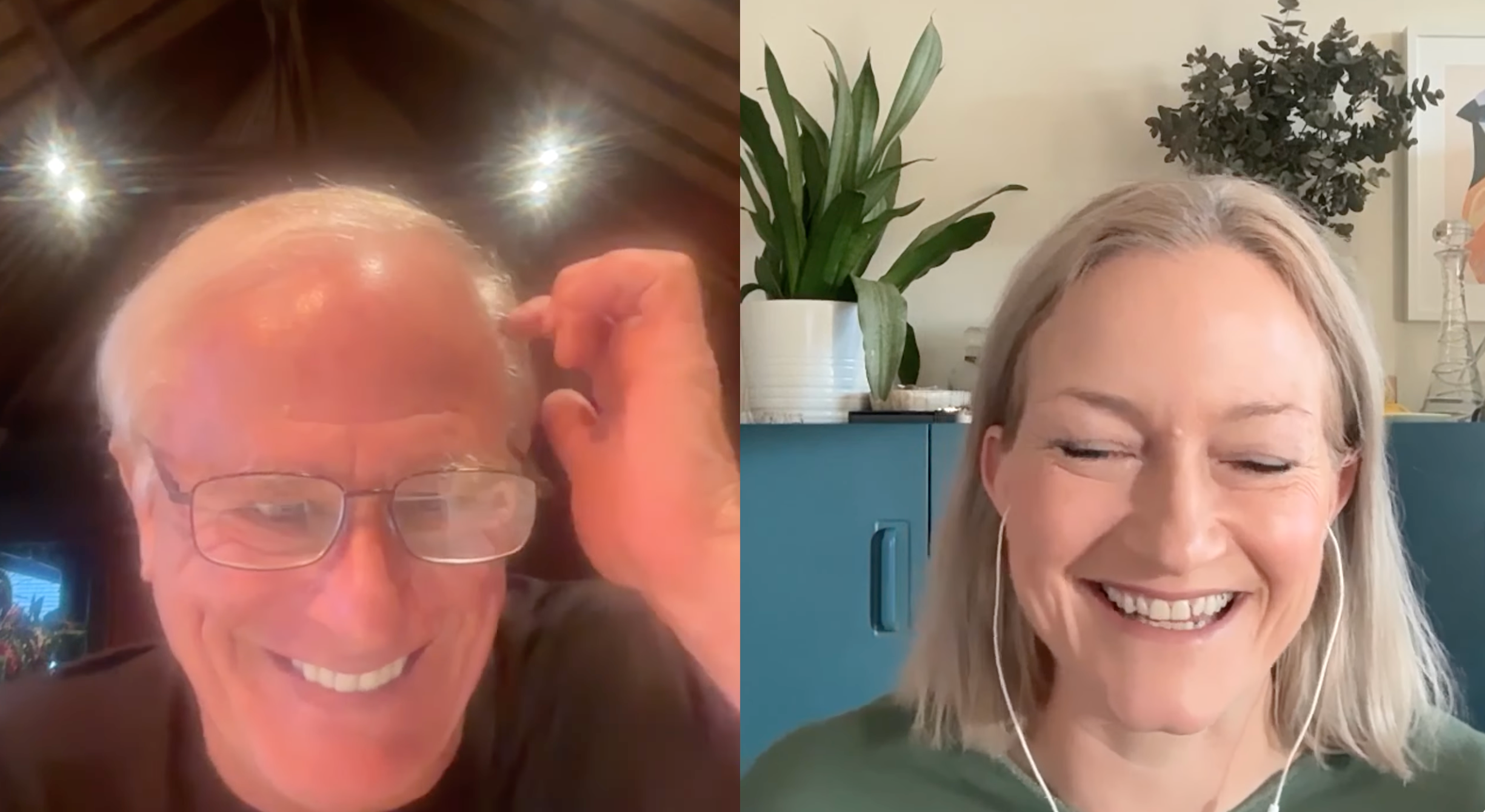 Herbal Medicine 2.0: Low Tox Life Podcast