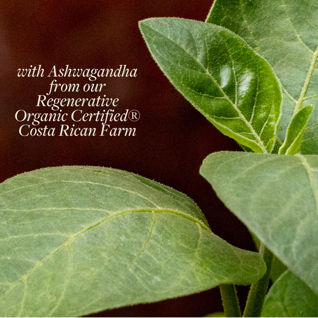 Regenerative Adrenal Support™*