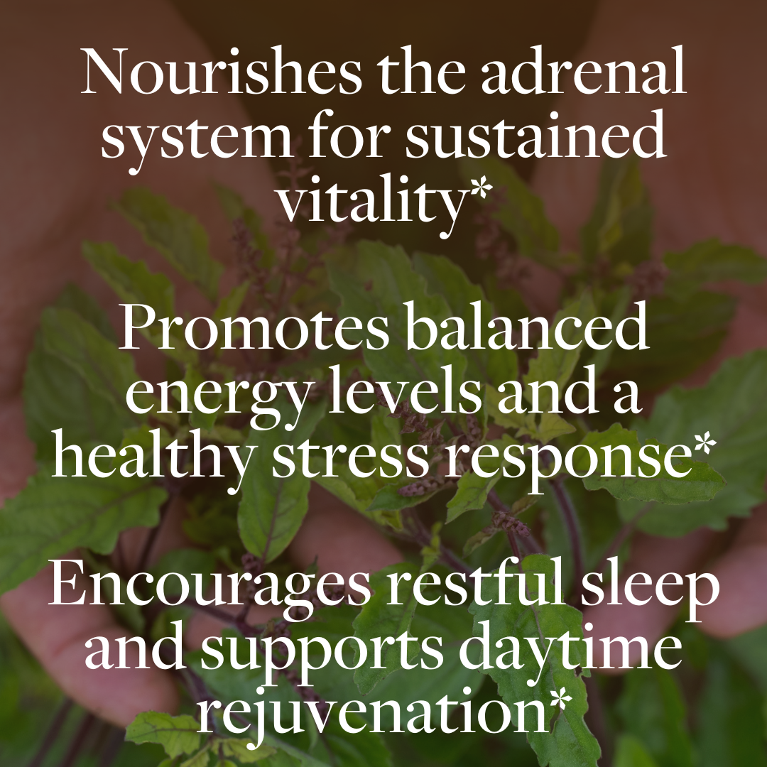 Regenerative Adrenal Support™*