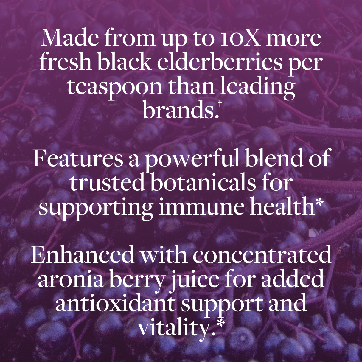 Black Elderberry Syrup