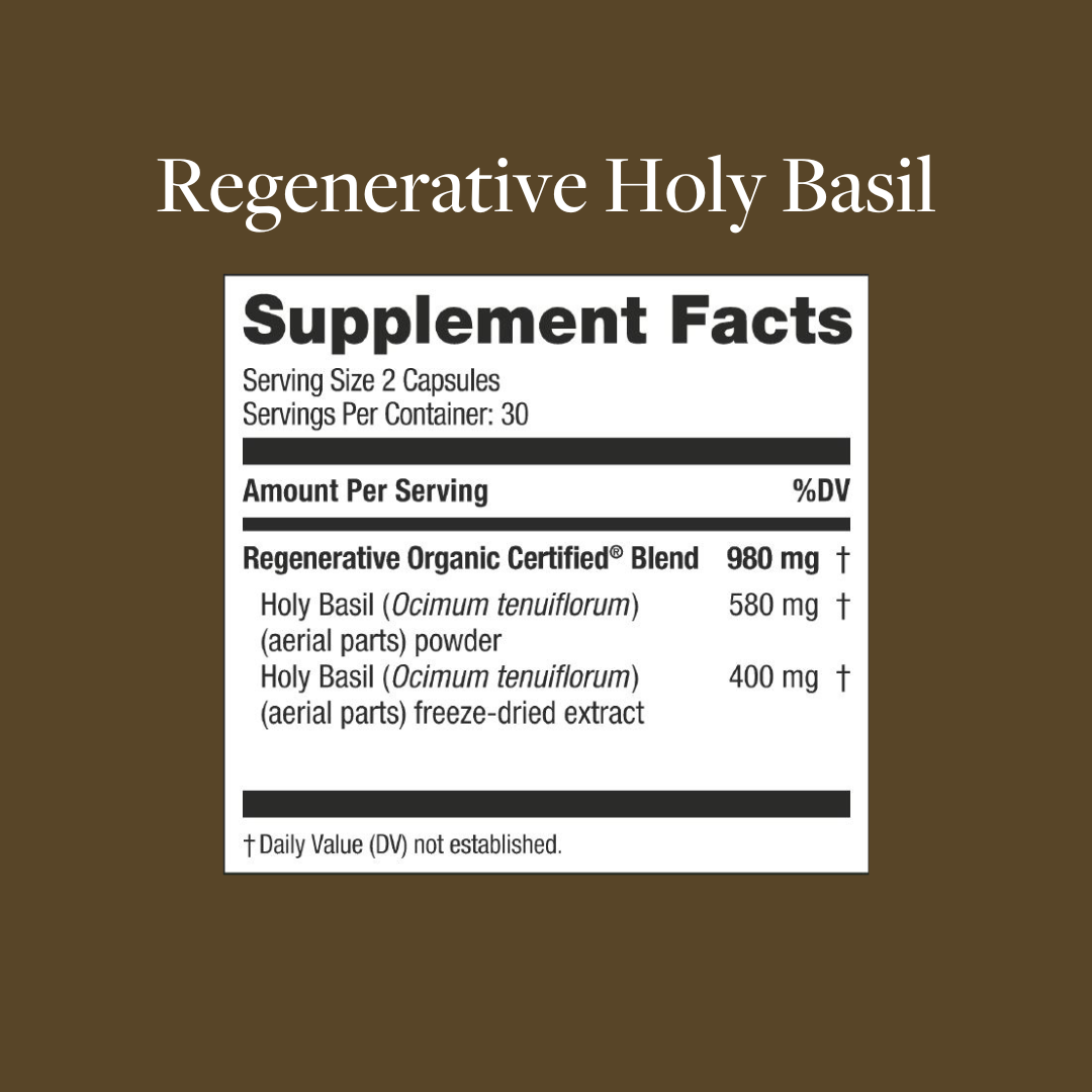 Regenerative Holy Basil