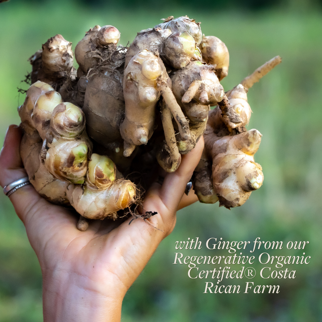 Regenerative Ginger