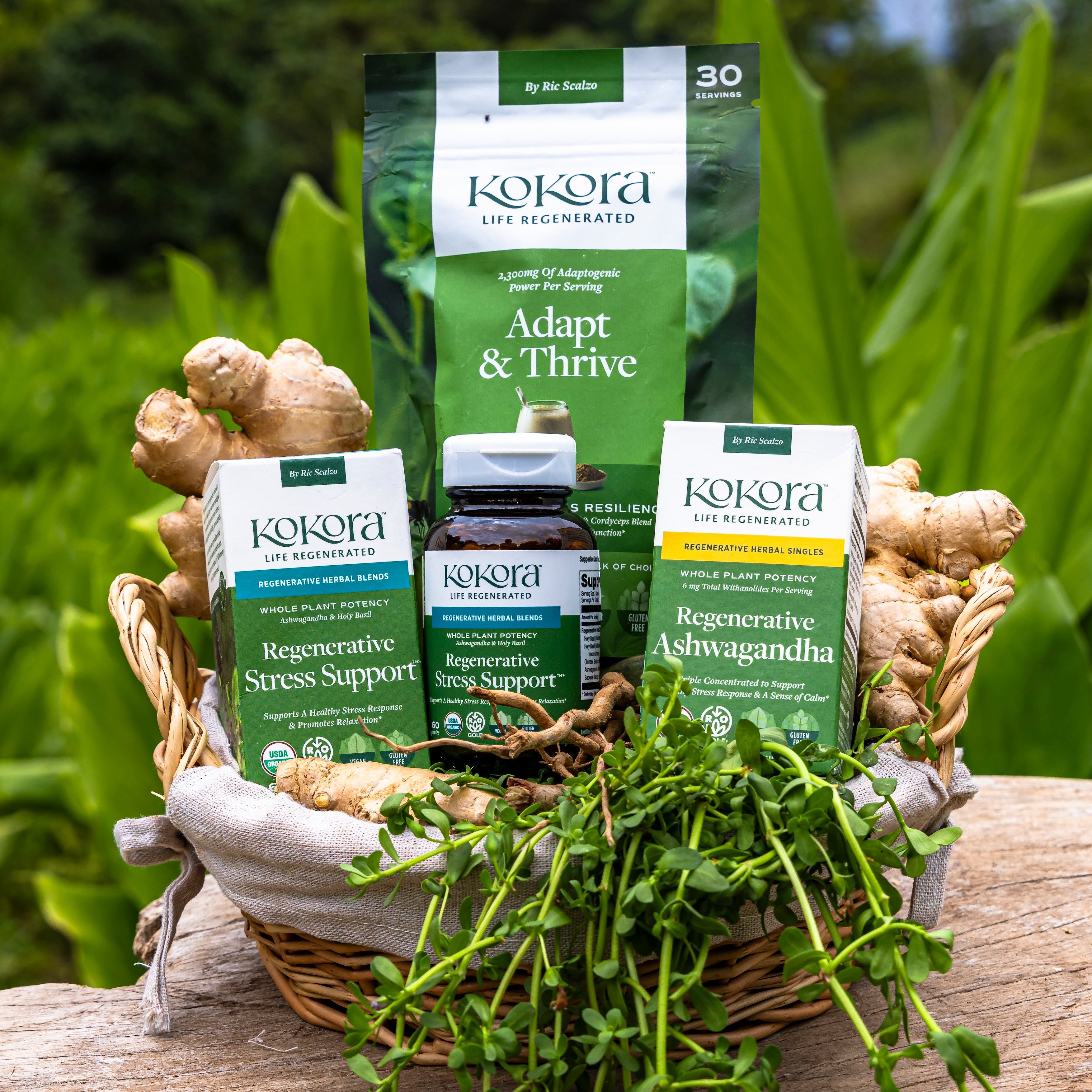 Calm & Relaxation Bundle