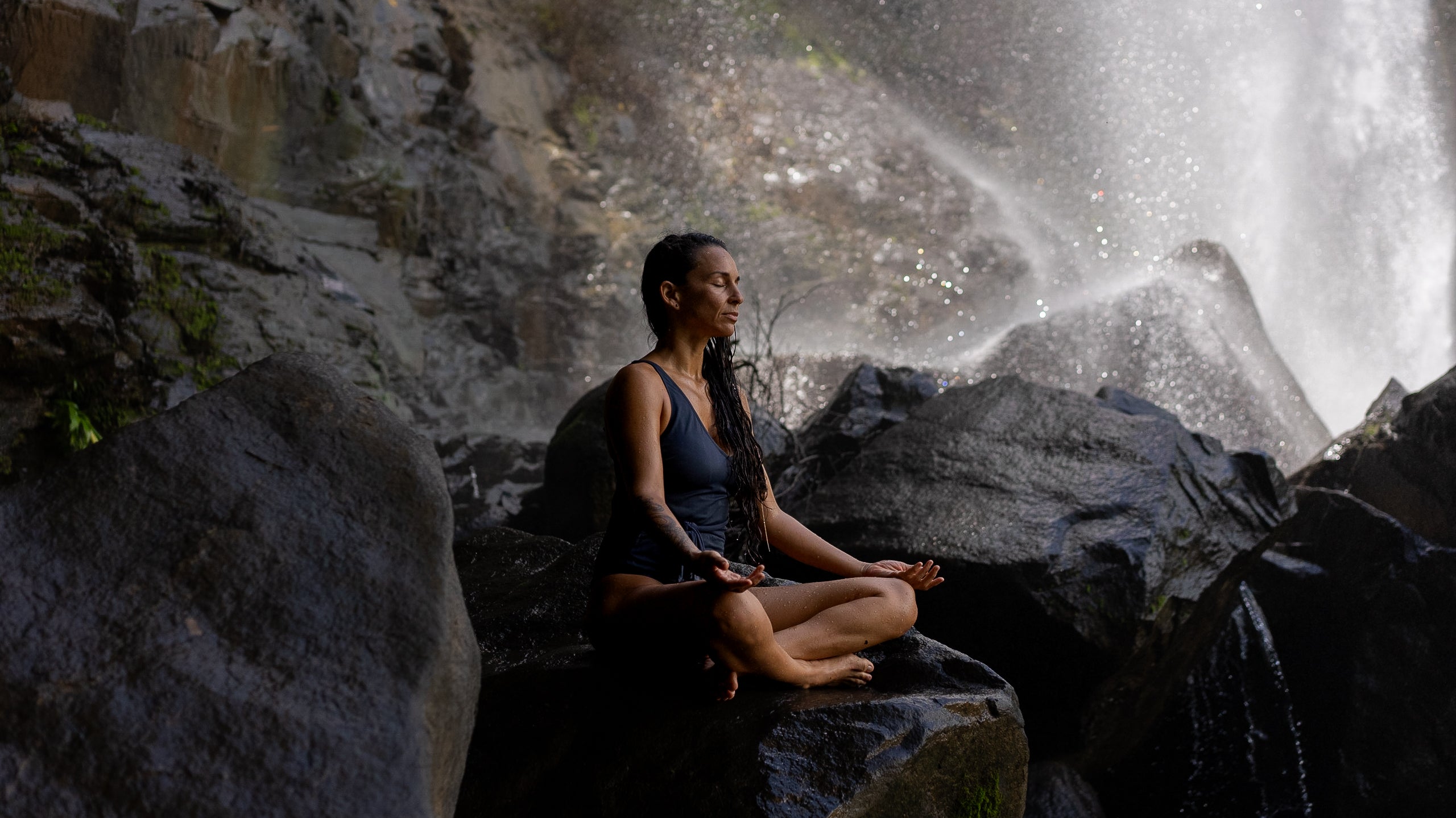 Stress, Adaptation & Thriving in the New Year