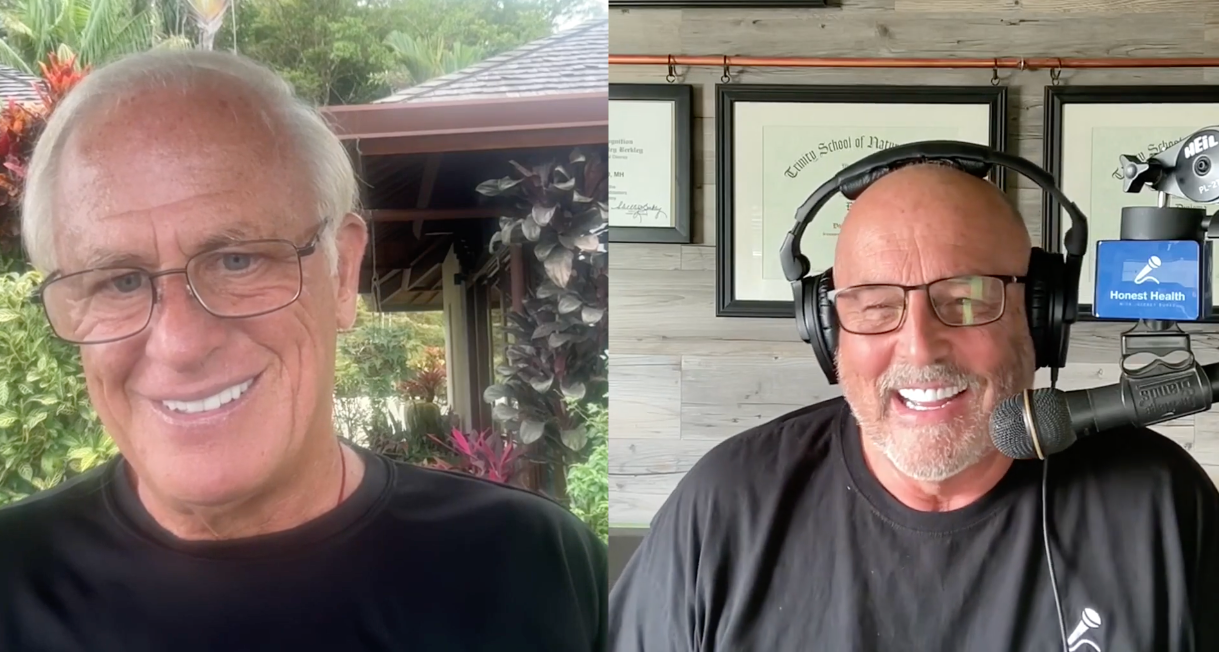 Holy Basil: Honest Health Podcast