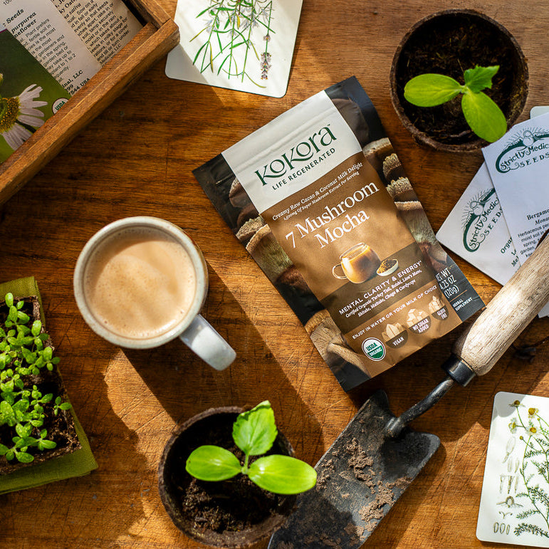 7 Mushroom Mocha™