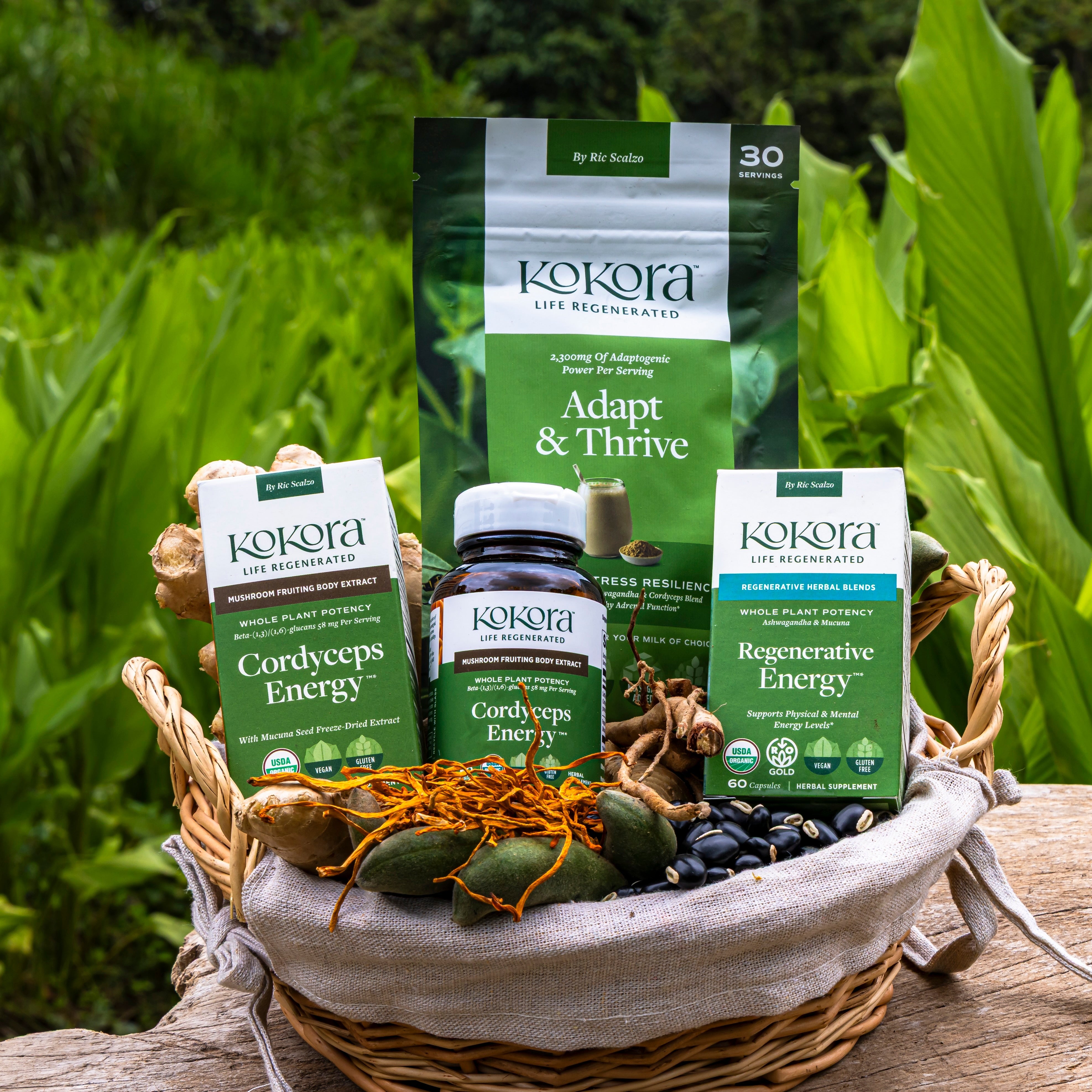 koko_mama　organiczoo ３点セット EnergySupportBundle__KadriKurg