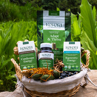 Energy Support* Bundle