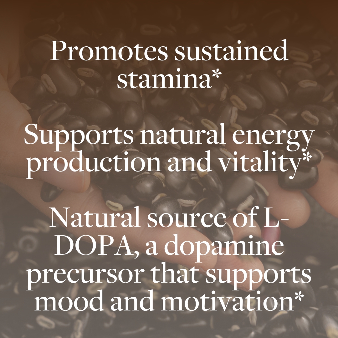 Regenerative Energy™