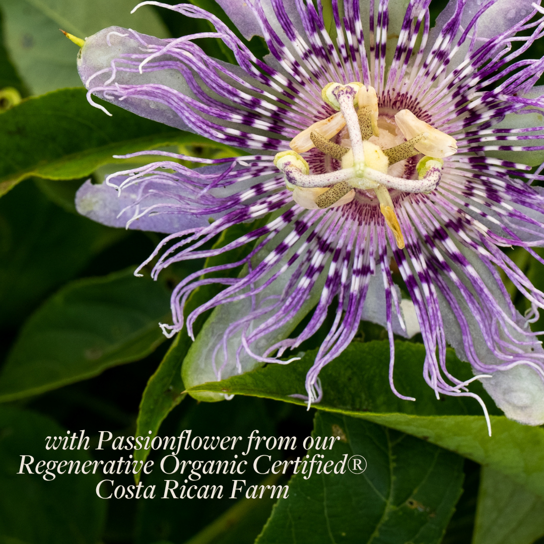 Regenerative Passionflower