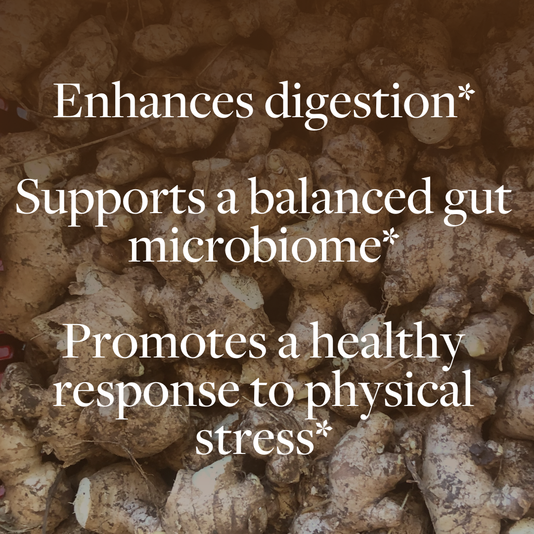 Regenerative Ginger