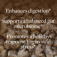 Regenerative Ginger